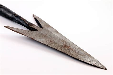 Spear Pictures, Images and Stock Photos - iStock