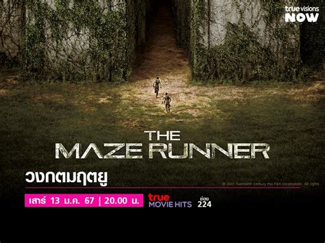 The Maze Runner วงกตมฤตยู