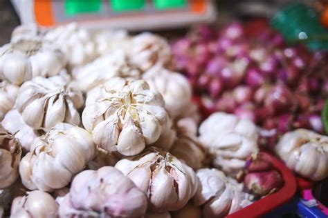 Unlocking the secrets of prebiotics: your comprehensive guide to weight loss and gut health