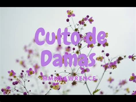 Culto De Damas Youtube