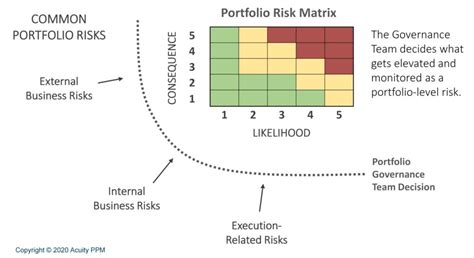 PPM 101 - Portfolio Risk Management | Acuity PPM