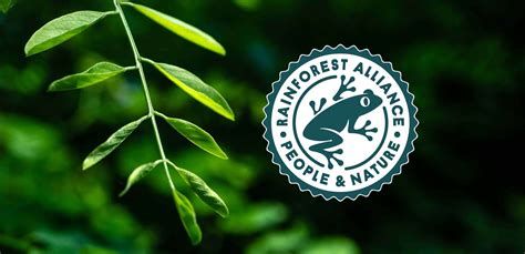 Logo della rana Rainforest Alliance cosè e dove si trova Veggie