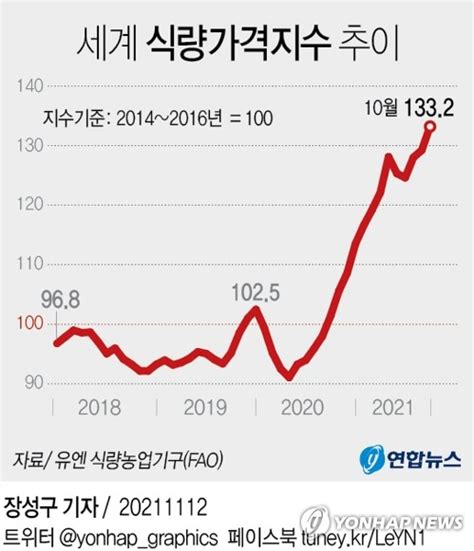 그래픽 세계 식량가격지수 추이 연합뉴스