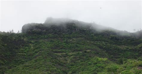 My Travel Review: My Travel to Sinhagad Fort (Trekking)