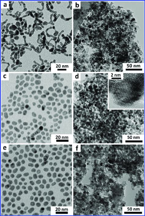 tem  synthesized  pt  ag   pt  ag    pt  ag