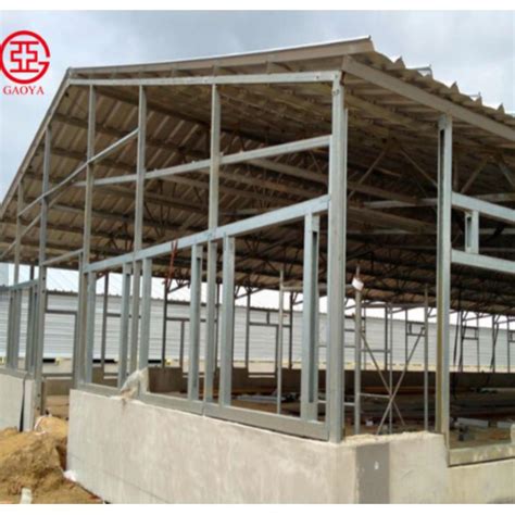 Rapid Construction Steel Structure Layer Large Chicken House For