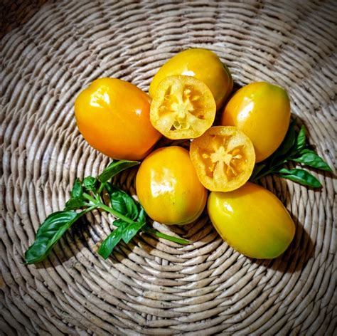 Tomate Pimiento Amarillo Huerto Tante Puppe