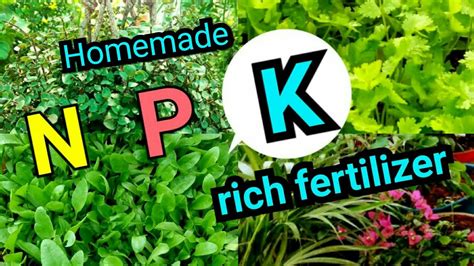 Homemade Potassium Easy Sources Of Potassium For Plants Prepare Solid Liquid Form Of