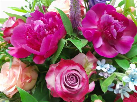 Funeral Notices – Andrew Smith Funeral Services