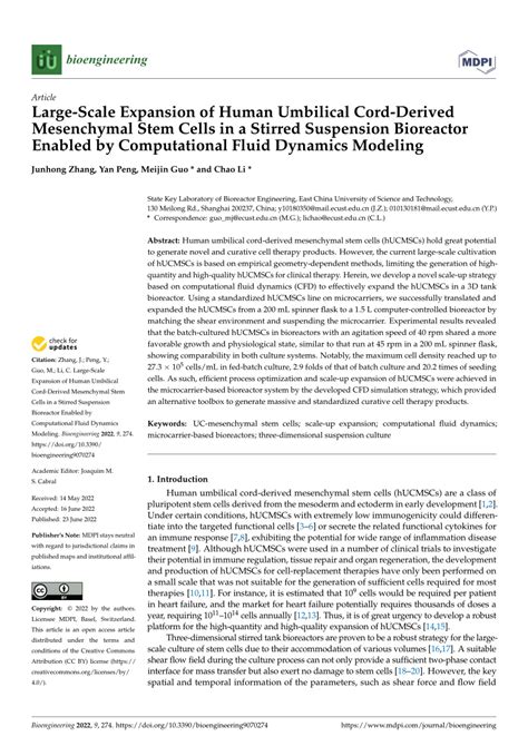 Pdf Large Scale Expansion Of Human Umbilical Cord Derived Mesenchymal