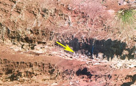 Caliche Profile Within Red Mudstone Of M1 Note Development Of