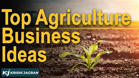 Profitable Business 20 Most Demanding Profitable Agriculture