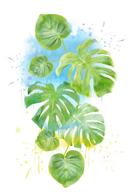 Uma Pintura Em Aquarela De Uma Planta Monstera Foto Premium