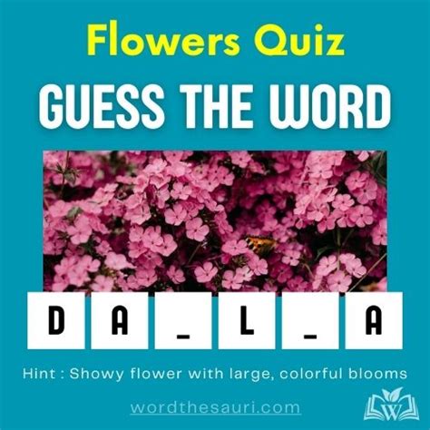 Guess The Words Quiz Wordthesauri