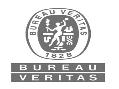 Bureau Veritas Accelerates M A And Strengthens Its Position In The