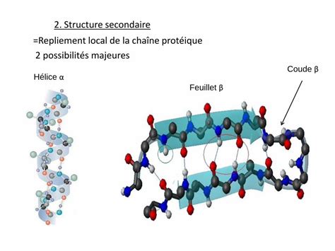 PDF Biologie Moléculaire Propriétés ioniques des acides