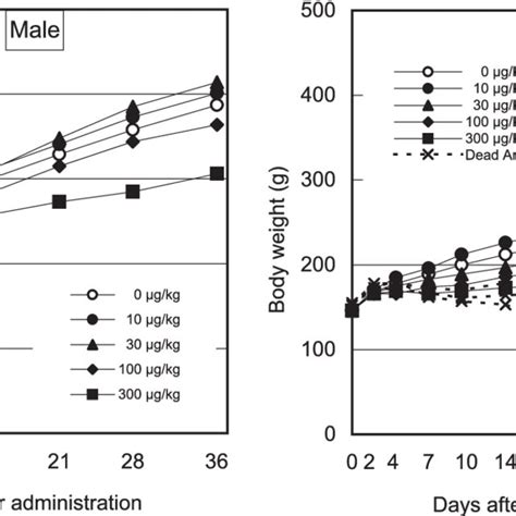 And Relative Organ Weights Of Male And Female Rats On Days And