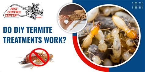 Do DIY Termite Treatments Work? | Pest Control Center