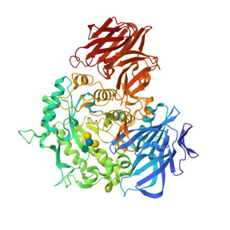 RCSB PDB 7EXR Crystal Structure Of Alkaline Alpha Galactosidase