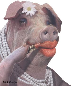 Allison's English Tidbits: Putting Lipstick on a Pig