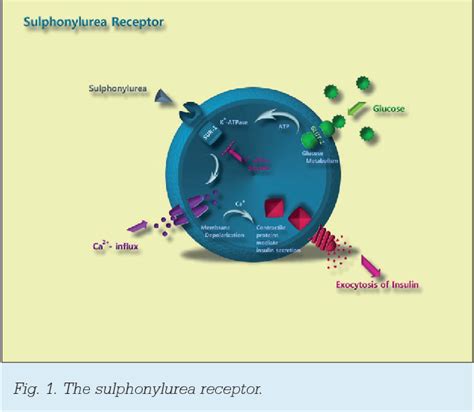 Figure 1 from The mechanism of action of oral antidiabetic drugs : A review of recent literature ...