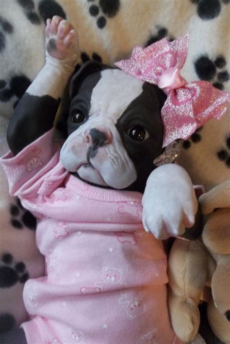 Custom Made To Order Reborn Puppy Dog Art Doll Vinyl Princess Pug Kit