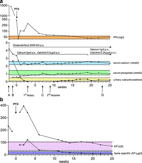 A Parathyroid Hormone Pth Serum Calcium Serum Phosphate And