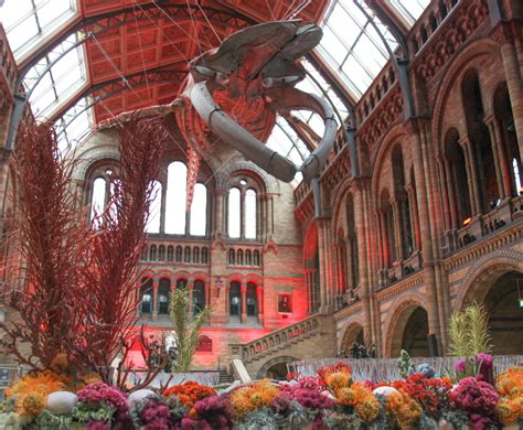 New Hintze Hall Opening Night At The Natural History Museum Mary Jane