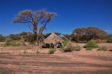 Pueblos Ind Genas Los M S Vulnerables Frente El Avance Del Coronavirus En Am Rica Latina