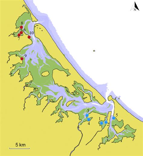 1. Map of Tauranga Harbour, showing sites where M. tenuicaudatus ...