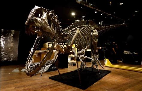 Un Dinosauro Da Record Raro Scheletro Del Nonno Del T Rex Di