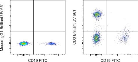 Cd3 Monoclonal Antibody Sk7 Brilliant Ultra Violet™ 661 376 0036 42