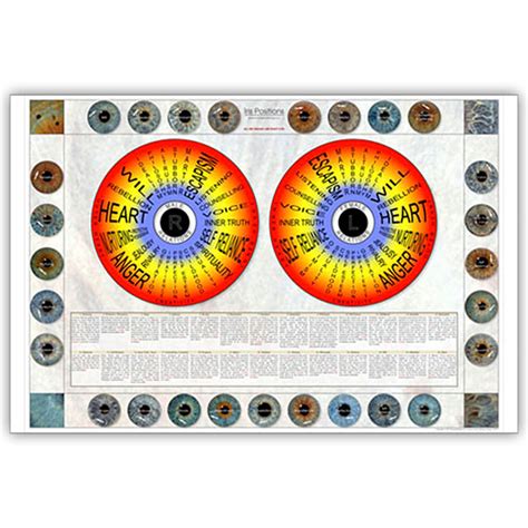 Iris Wall Chart – Behavioral Iridology