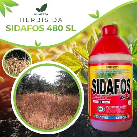 Herbisida Sidafos Sl Liter Lazada Indonesia