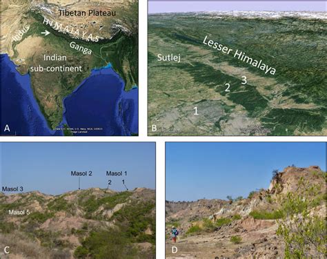 Location Of Masol A In The Sub Himalayan Foothills Arrow B