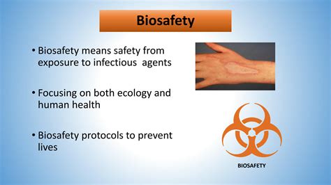 Solution Biosafety Levels Bsl Lab Safety Studypool