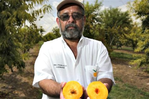 Buenas Prácticas Agrícolas En Pro De La Agricultura Y El Medio Ambiente