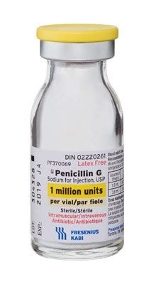 Procaine Penicillin G Sodium Injection at Best Price in Surat ...