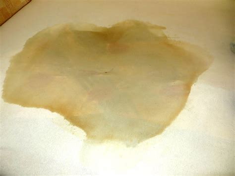 Bed Wetting Hot Or Not Page Omorashi General Omorashi