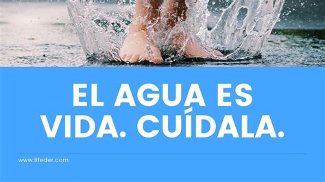 100 Frases Para Cuidar El Agua En Casa Y El Mundo Cortas