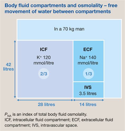 Electrolytes And Acidbase Common Fluid And Electrolyte Disorders