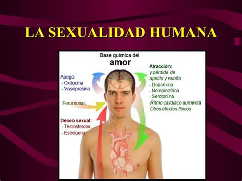 Sexualidad Humana Ppt Descarga Gratuita