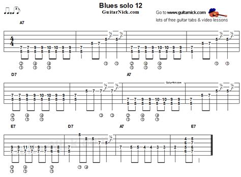 Blues Guitar Solo 12 Acoustic Flatpicking GuitarNick