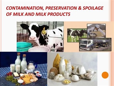 Ppt Contamination Preservation And Spoilage Of Milk And Milk Products