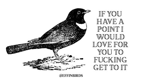 Effin Birds Effinbirds Twitter Sarcastic Quotes Funny Funny