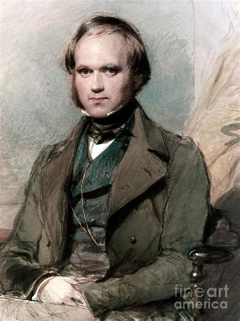 portrait  charles darwin painting  george richmond pixels