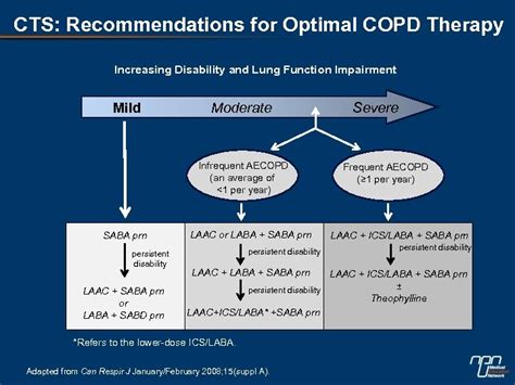 Cts Clinical Assessment Of Copd Questions To Ask