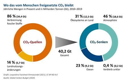 Detailansicht