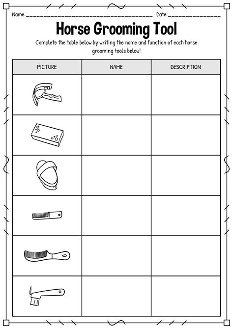 20 Worksheet Parts Of A Horse Pony Club Free Pdf At