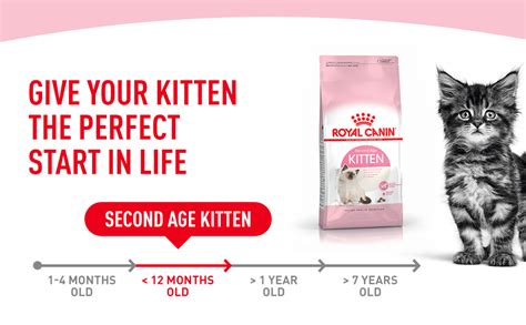 Royal Canin Second Age Kittens Food 2 Kg Buy Online At Best Price